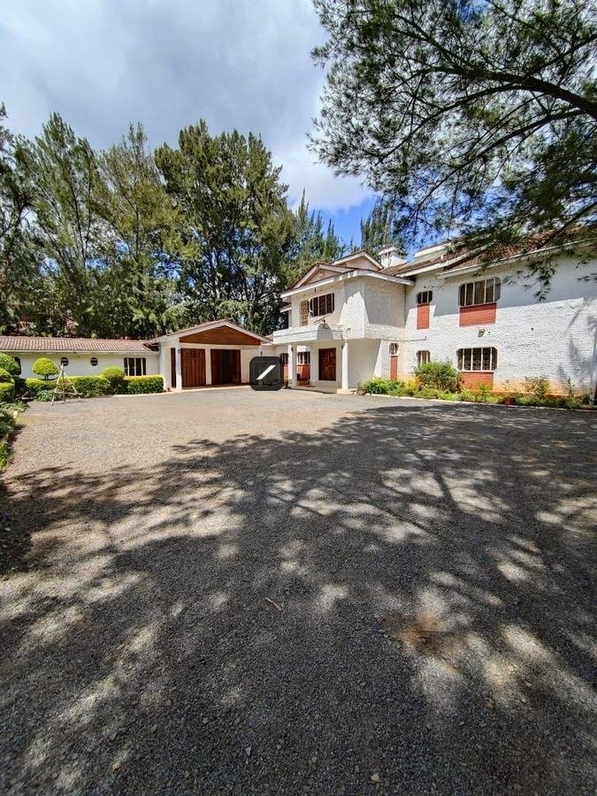 imgi_19_e62c9e60-6753-4a2c-a217-6b119cae2904