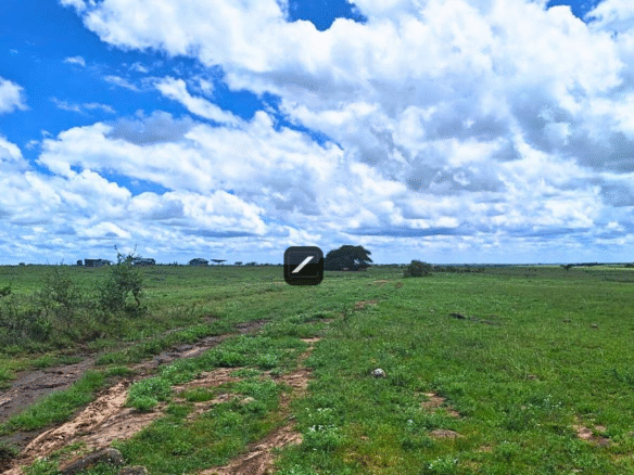 Imgi 21 fef3c02c 8a2d 4327 9280 c0efee594da6