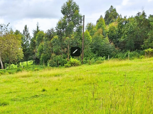 Imgi 23 bfeddcf2 ca3f 4402 ba28 4097a62cacbc