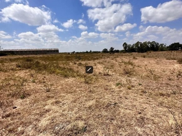 Imgi 24 IMG 20250311 WA0027 960x785