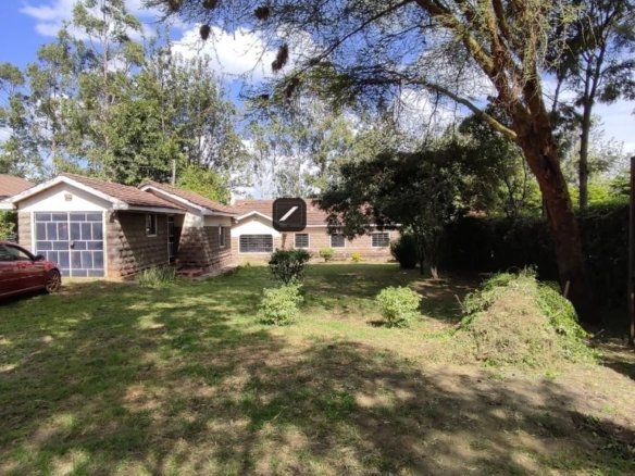 Imgi 24 WhatsApp Image 2024 02 13 at 10.40.15 769x1024