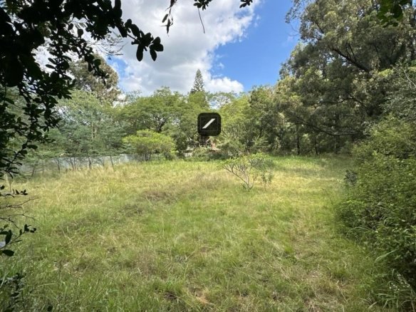 Imgi 24 WhatsApp Image 2024 03 26 at 15.54.44