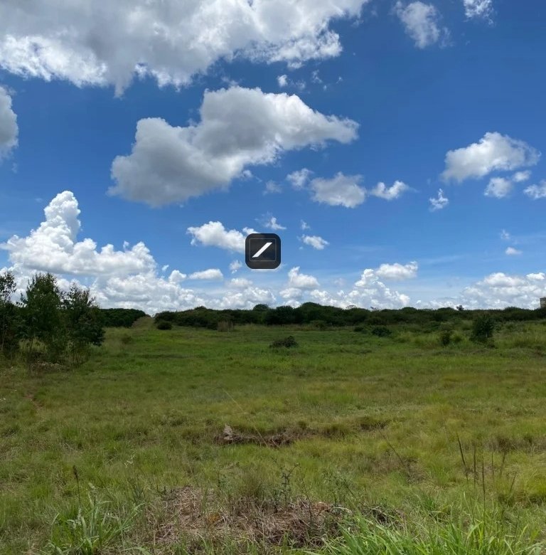 768
