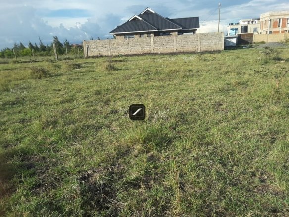 Imgi 24 c505ca19 0b60 4999 9095 dd9bce969ea6