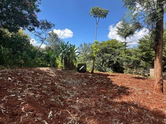 Imgi 26 WhatsApp Image 2024 03 26 at 16.00.05 4 960x785