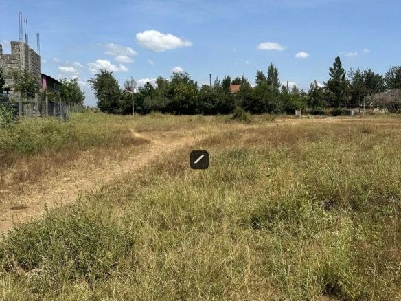 Imgi 26 WhatsApp Image 2024 04 24 at 21.14.24 1 960x785