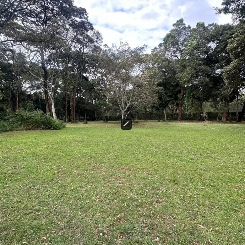 780