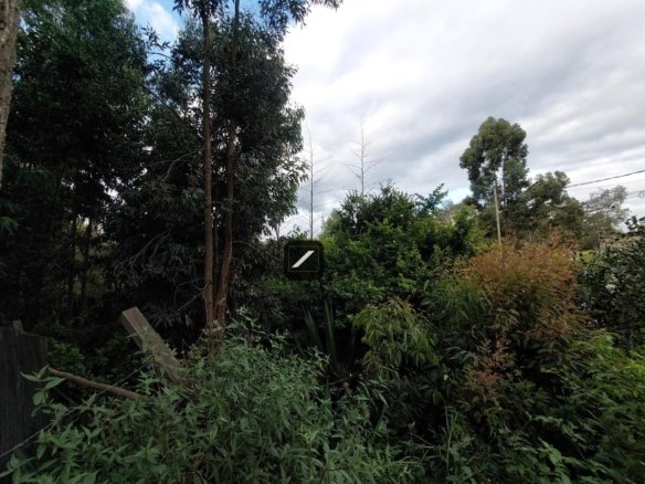 Imgi 28 611f6333 32d0 455d 8a7a c8d4321e60f0