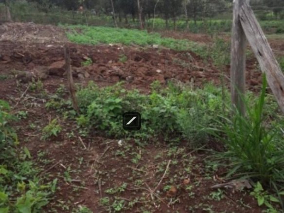 Imgi 2 806514C0AFC49267DF765FC4321125DF