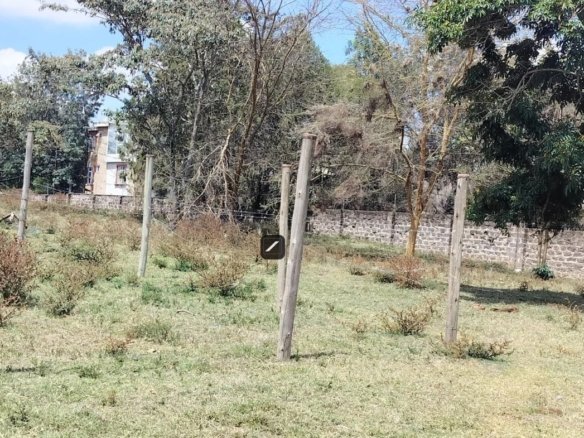 Imgi 2 WhatsApp Image 2023 10 19 at 11.37.10 1170x785