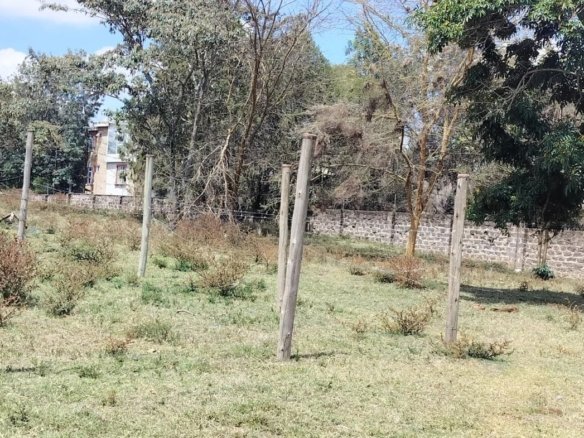 Imgi 2 WhatsApp Image 2023 10 19 at 11.37.10 1170x785