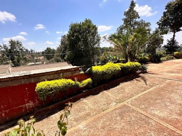 Imgi 2 WhatsApp Image 2024 09 23 at 08.35.42 960x785