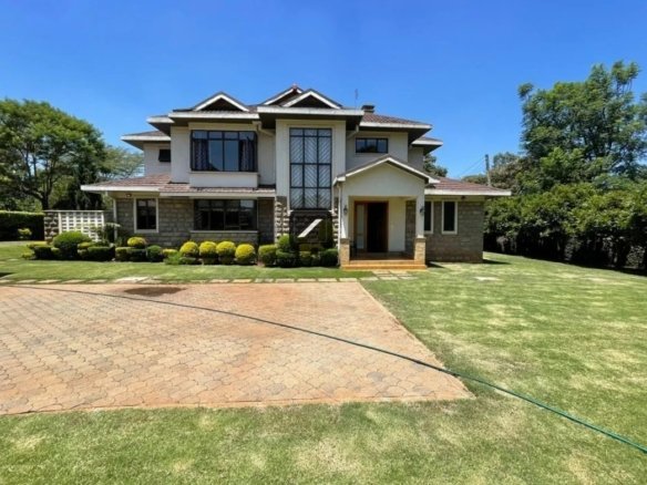 Imgi 2 WhatsApp Image 2025 03 11 at 15.40.06 020a8589 1170x785