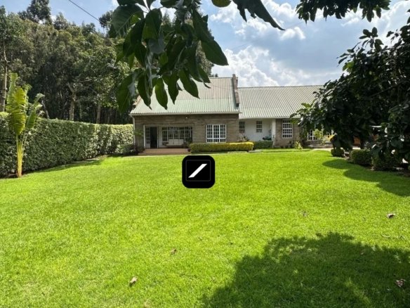 Imgi 2 WhatsApp Image 2025 04 08 at 3.20.02 PM2 1170x785