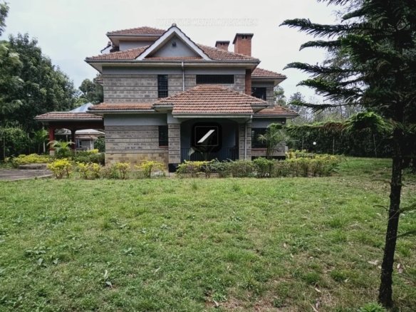 Imgi 3 IMG 20250311 WA0045 1170x785