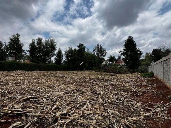 Imgi 3 Snapinsta.app 461569378 1946156579236172 4592491184577469322 n 1080 1080x785