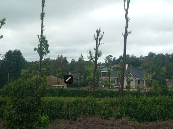 Imgi 3 WhatsApp Image 2023 11 23 at 15.35.15 1 1170x785