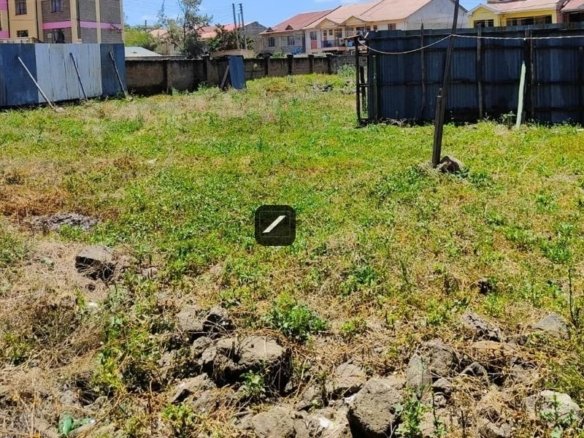 Imgi 3 WhatsApp Image 2024 02 20 at 12.23.47 1 1170x600