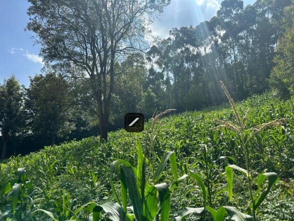 Imgi 4 WhatsApp Image 2024 04 02 at 10.45.56