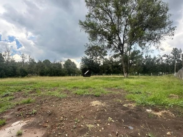 Imgi 4 WhatsApp Image 2024 04 09 at 12.27.49 3 960x785