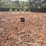 Imgi 7 904AE8065756DD5247613E29F67AEB7E