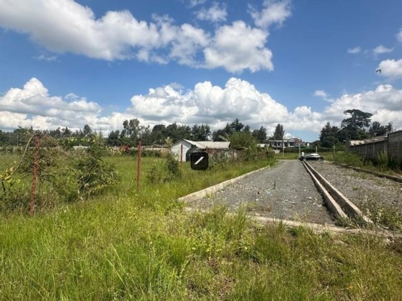 Imgi 7 WhatsApp Image 2024 06 13 at 21.05.05