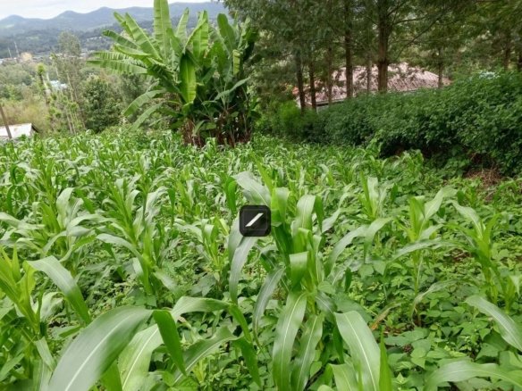 Imgi 7 f24b1807 743a 4a3d ac87 6f5f4d9c7aed