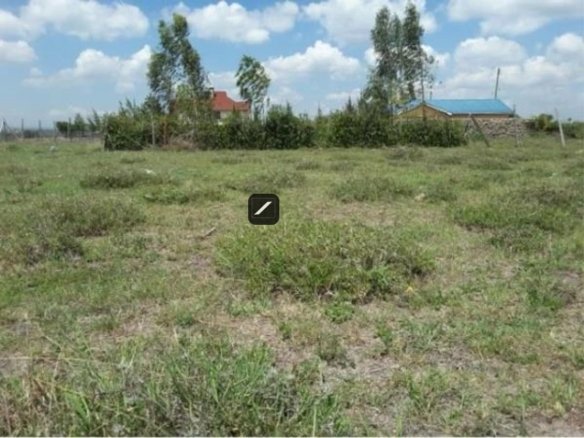 Imgi 9 B40C58C4C2AAEA64C3E7C3B59F5325F3